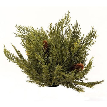 Alpine Cedar Half Sphere, 11